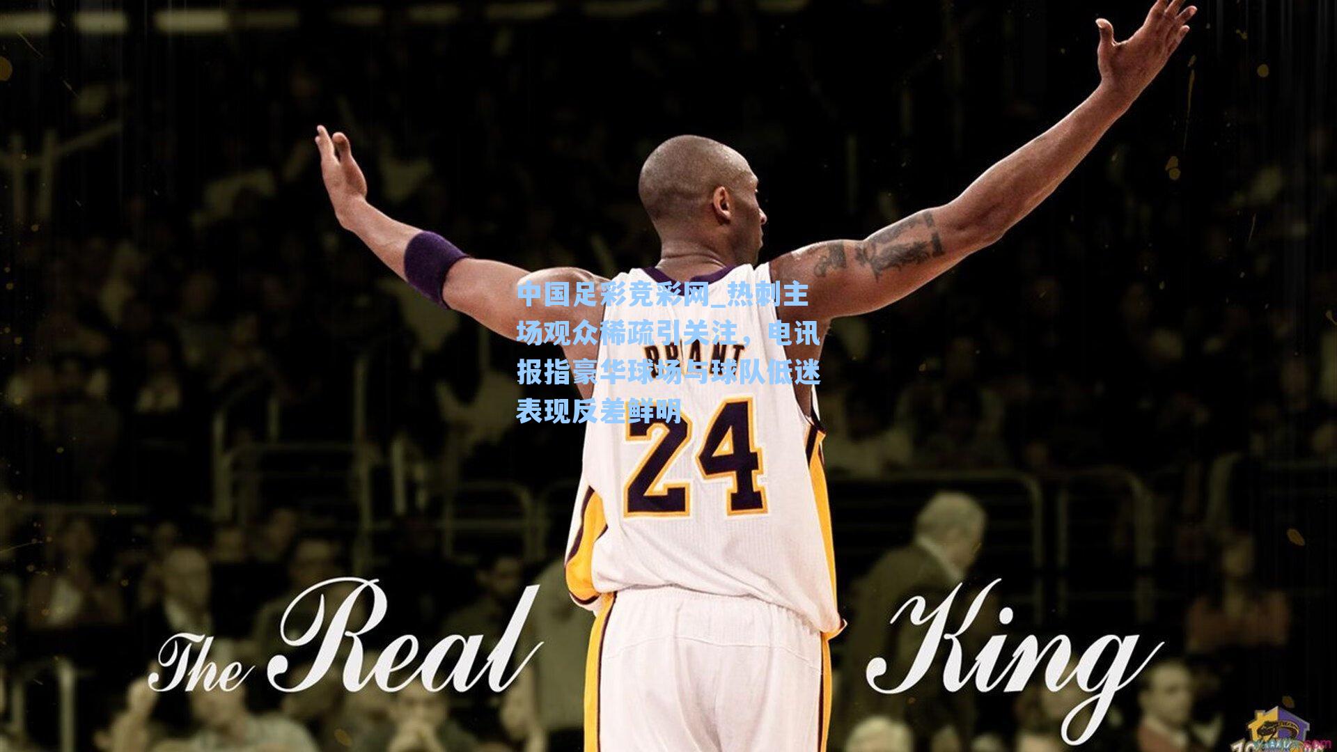 热刺主场观众稀疏引关注，电讯报指豪华球场与球队低迷表现反差鲜明